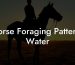 Horse Foraging Patterns Water