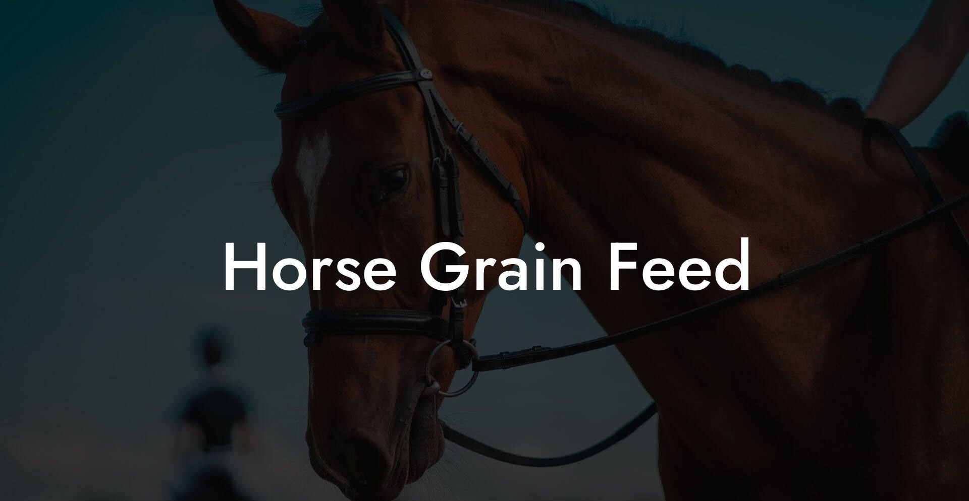 Horse Grain Feed