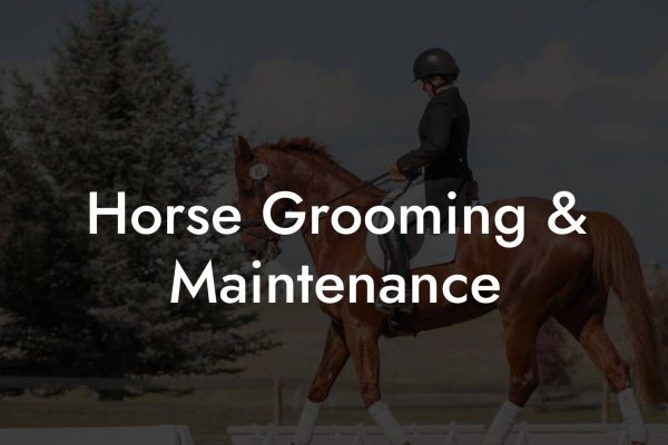 Horse Grooming & Maintenance