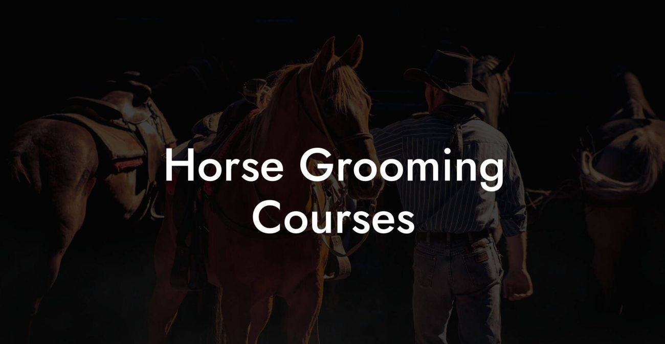 Horse Grooming Courses