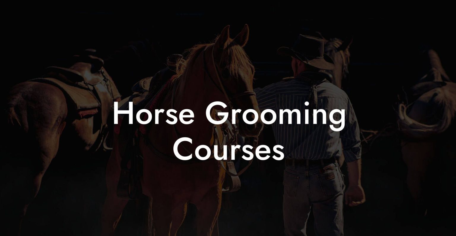 Horse Grooming Courses How To Own a Horse