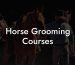 Horse Grooming Courses