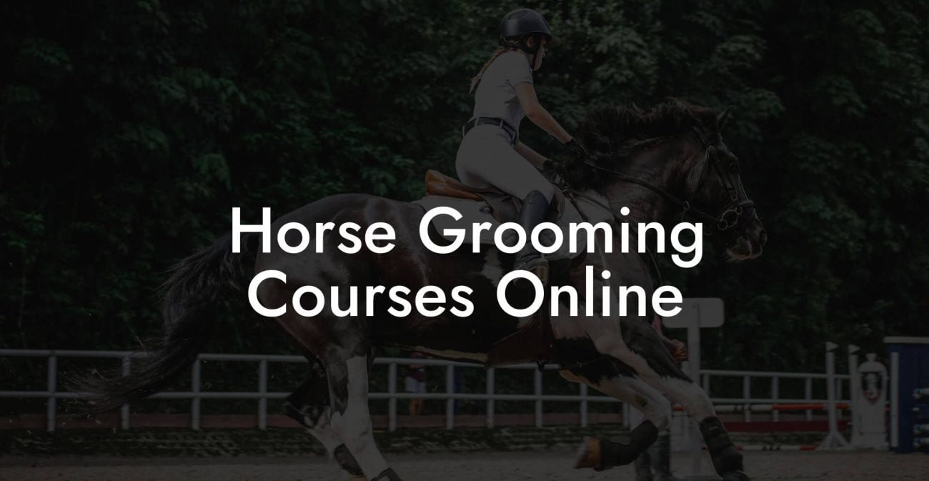 Horse Grooming Courses Online