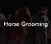 Horse Grooming