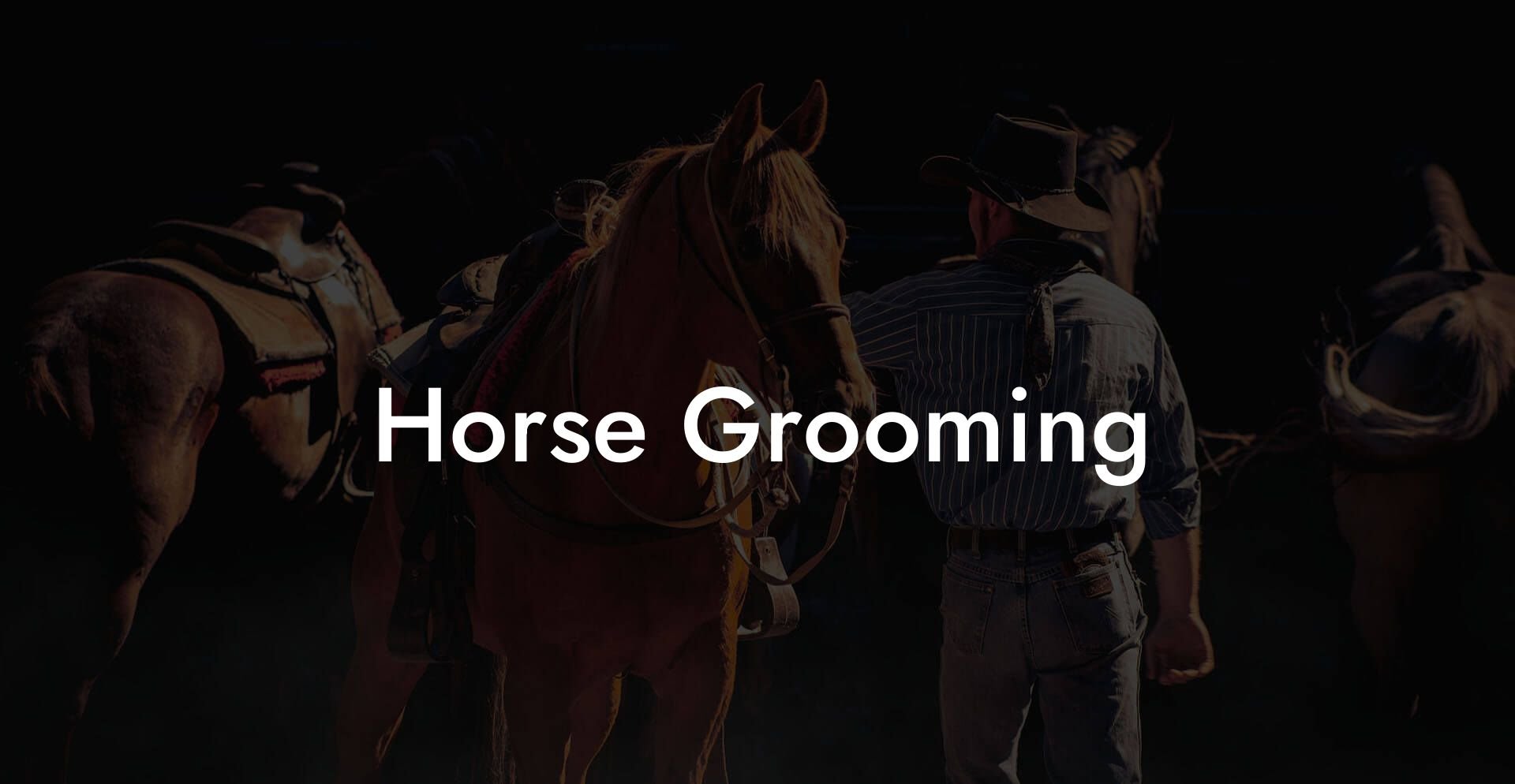 Horse Grooming