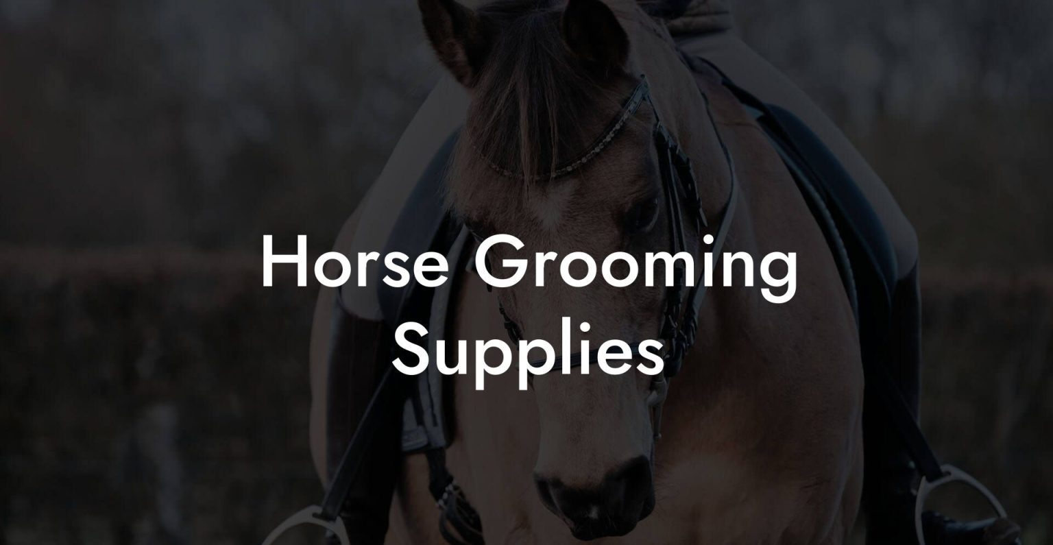 Horse Grooming Supplies How To Own a Horse