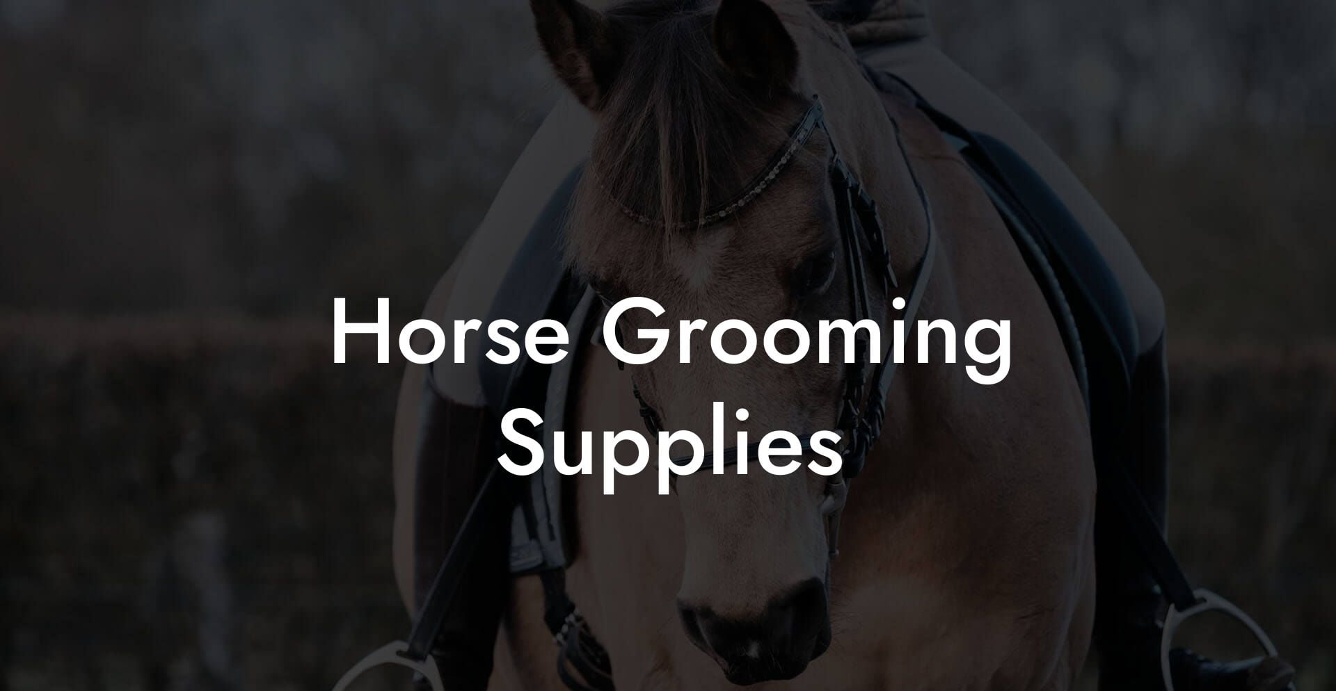 Horse Grooming Supplies