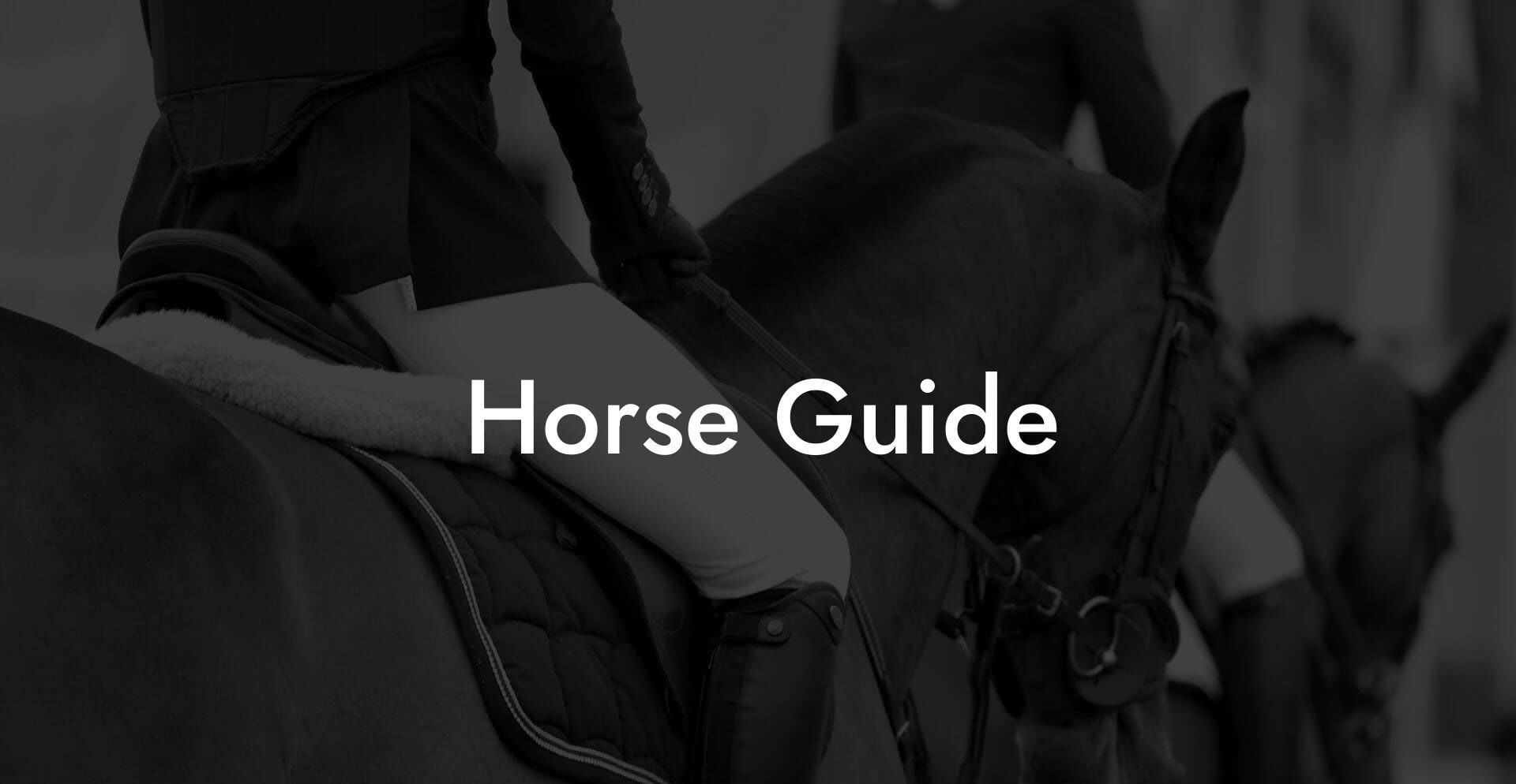 Horse Guide