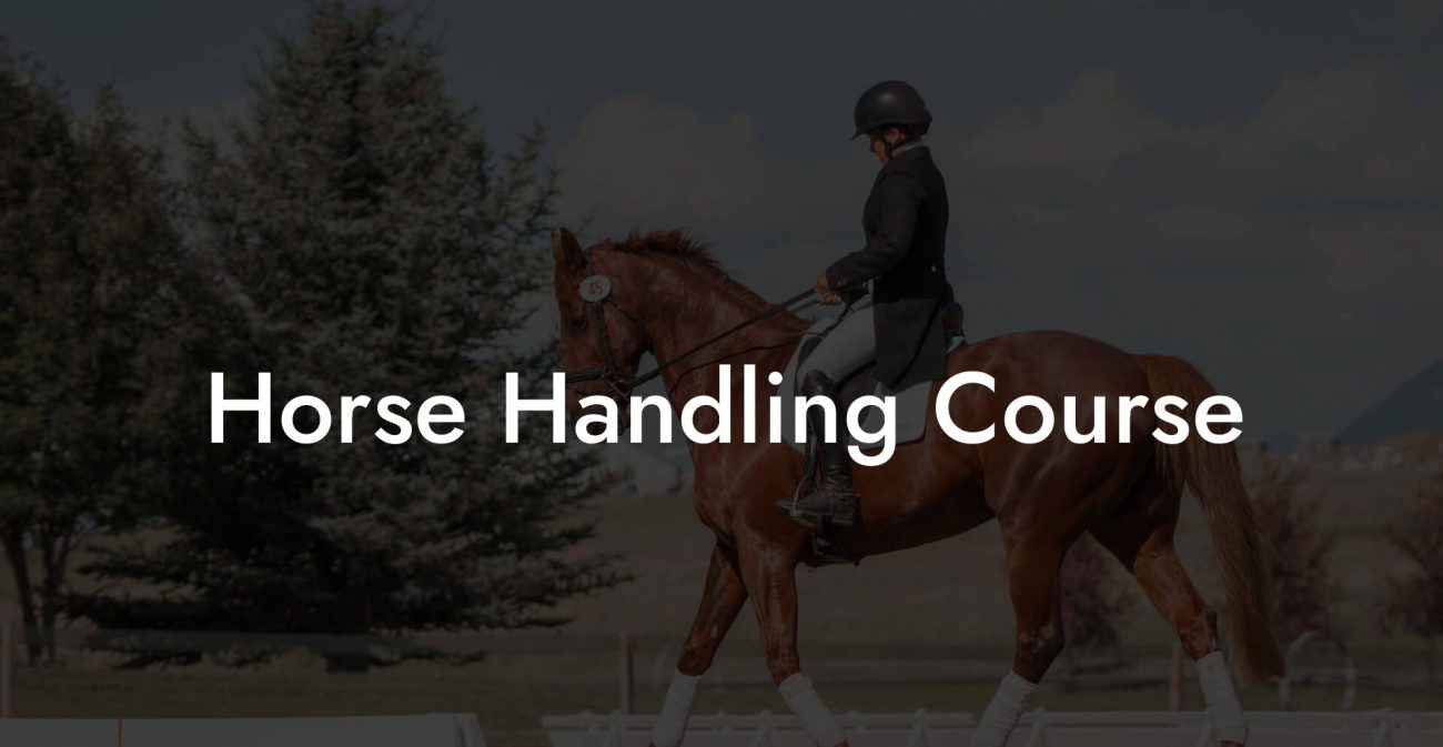 Horse Handling Course