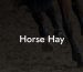 Horse Hay