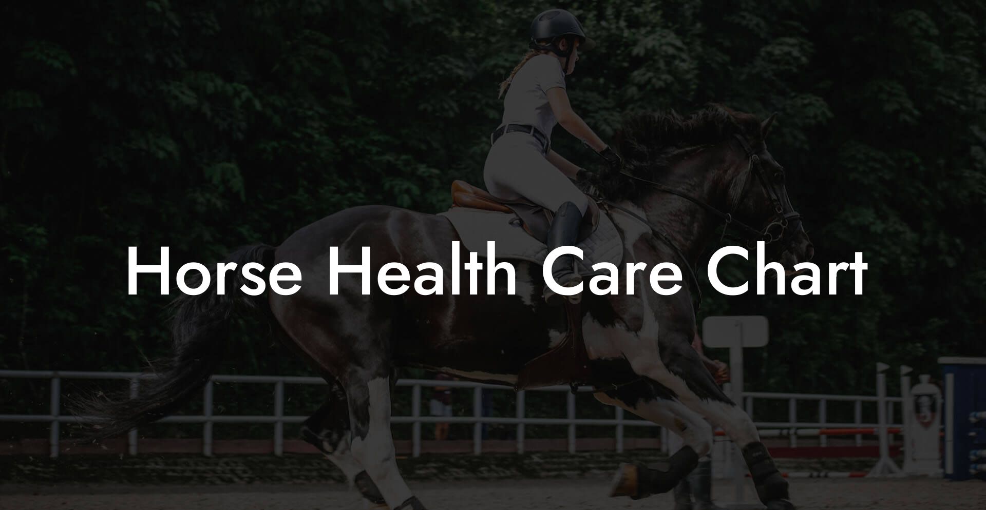 Horse Health Care Chart