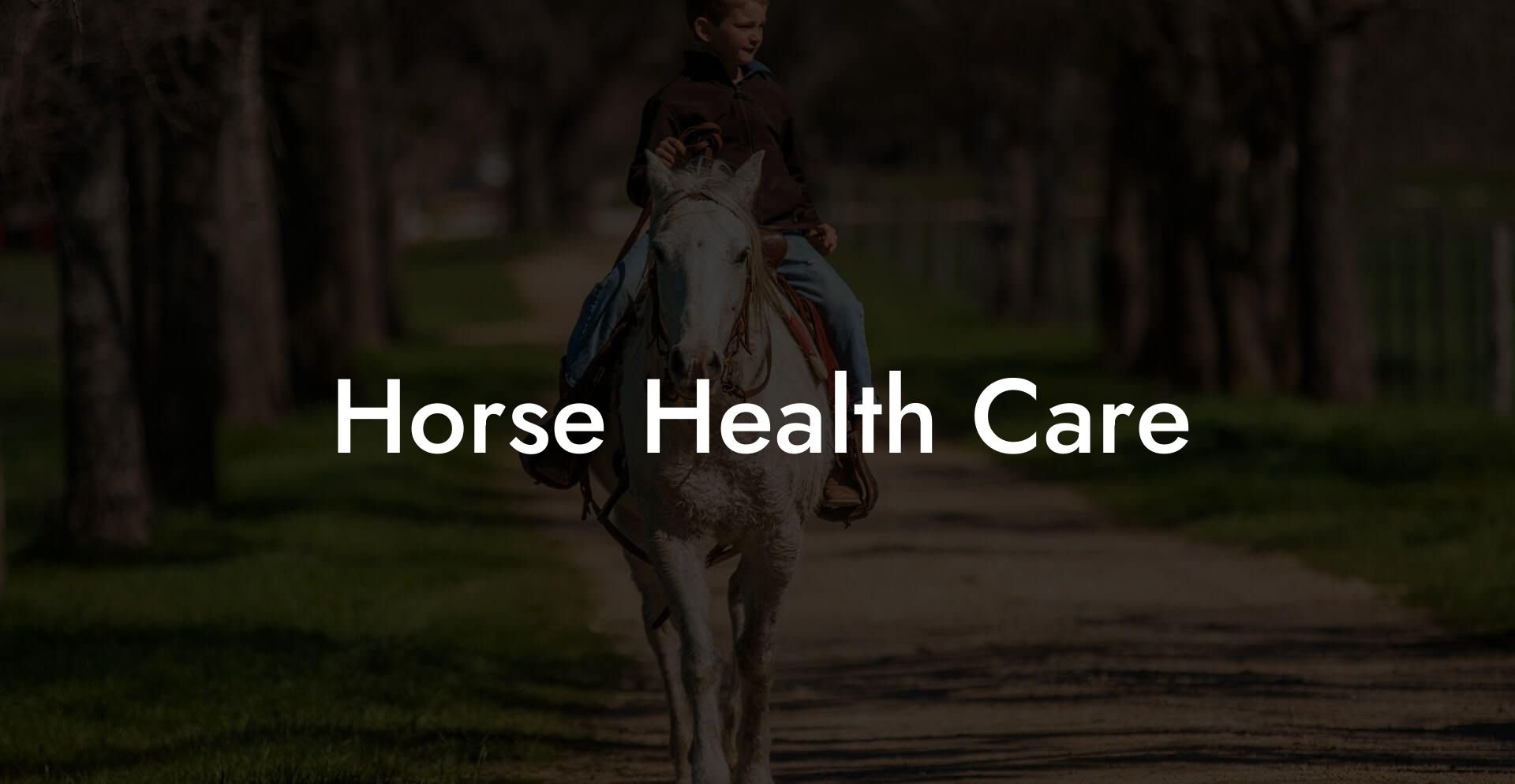 Horse Health Care