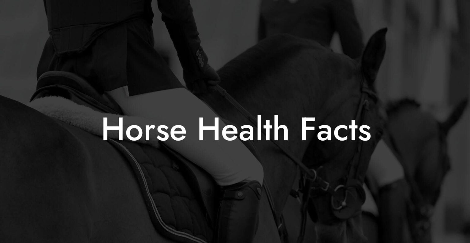 Horse Health Facts How To Own a Horse