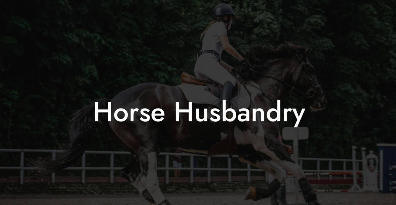 Horse Husbandry