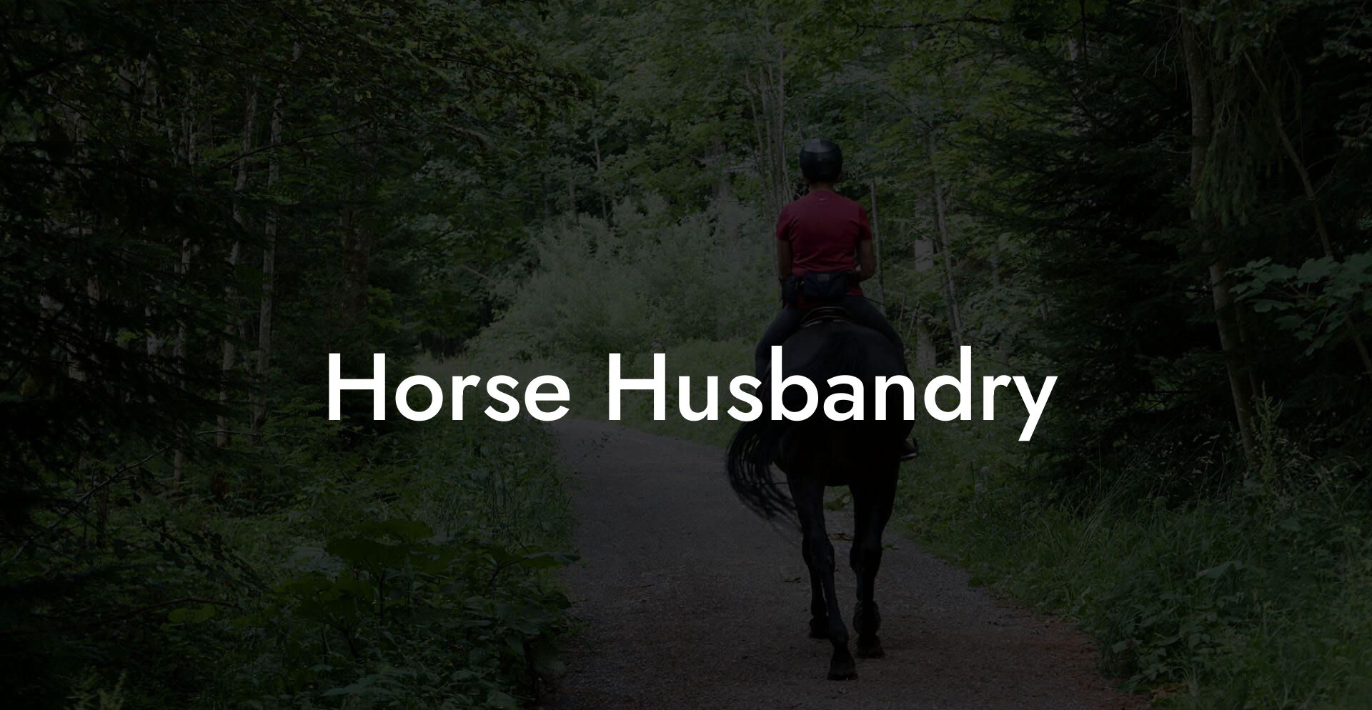 Horse Husbandry