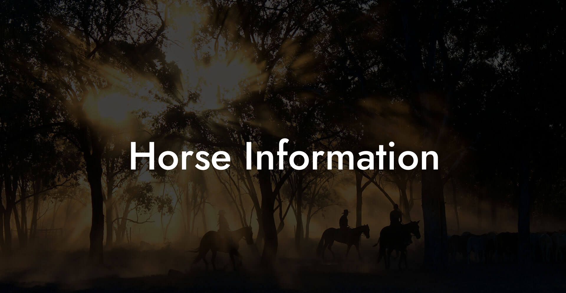 Horse Information