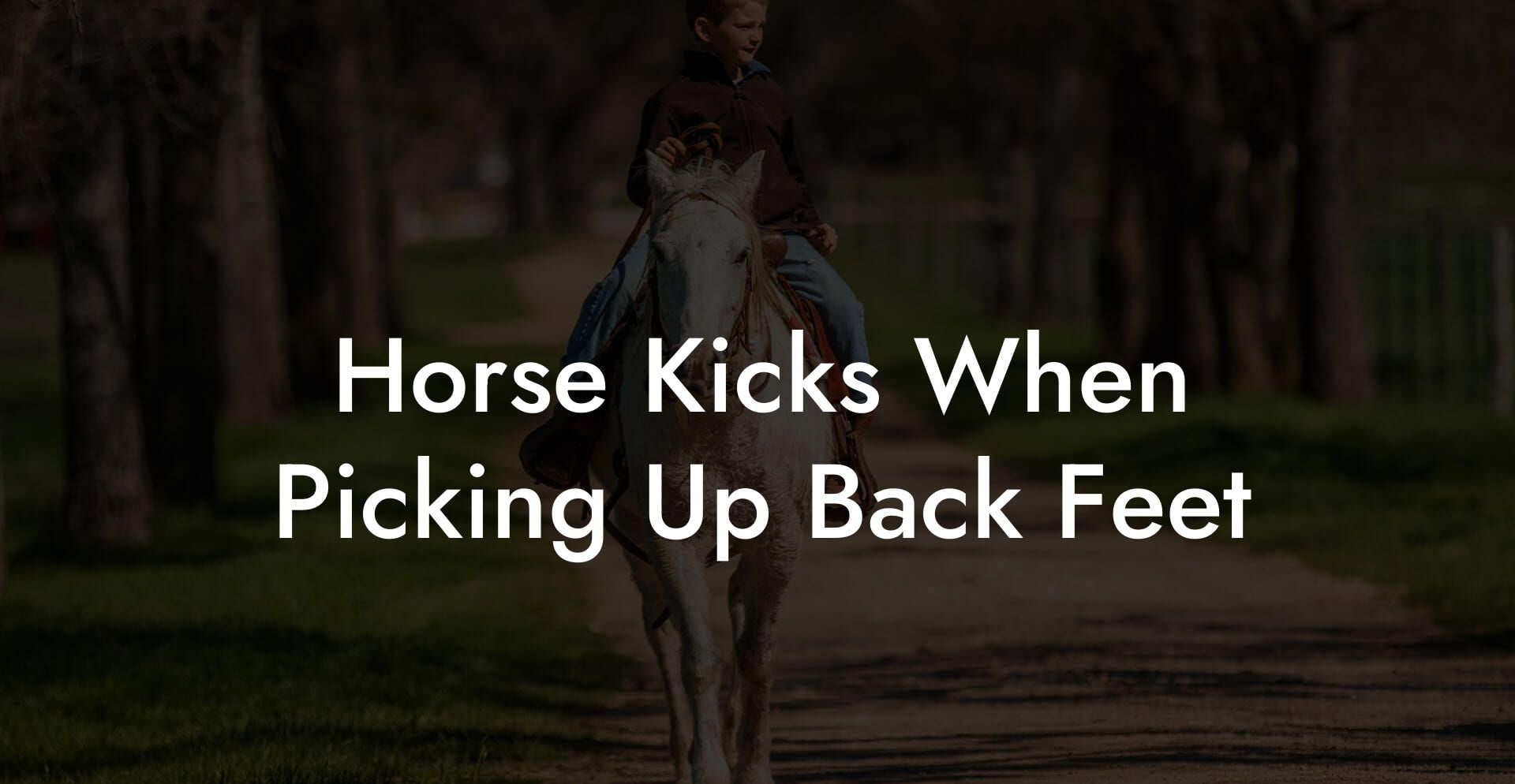 Horse Kicks When Picking Up Back Feet