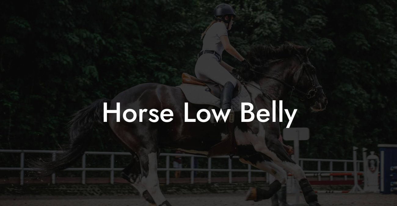 Horse Low Belly