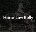 Horse Low Belly