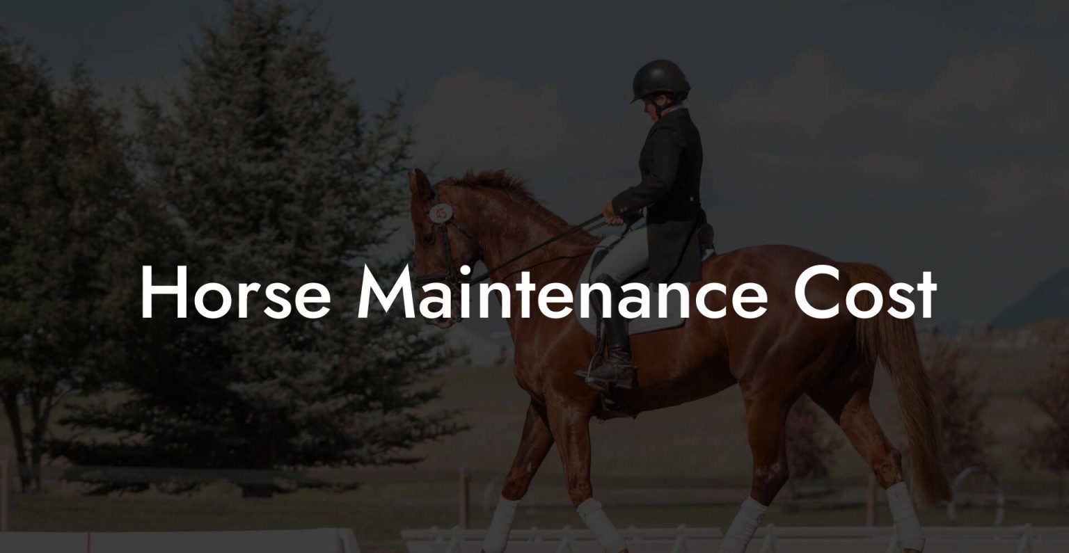 Horse Maintenance Cost How To Own a Horse