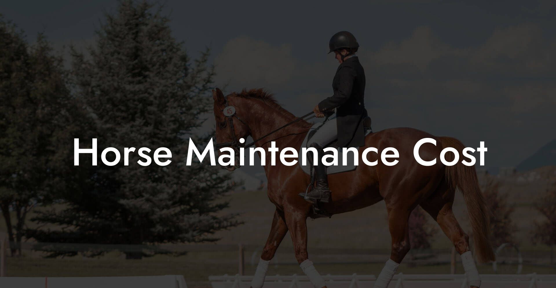 Horse Maintenance Cost