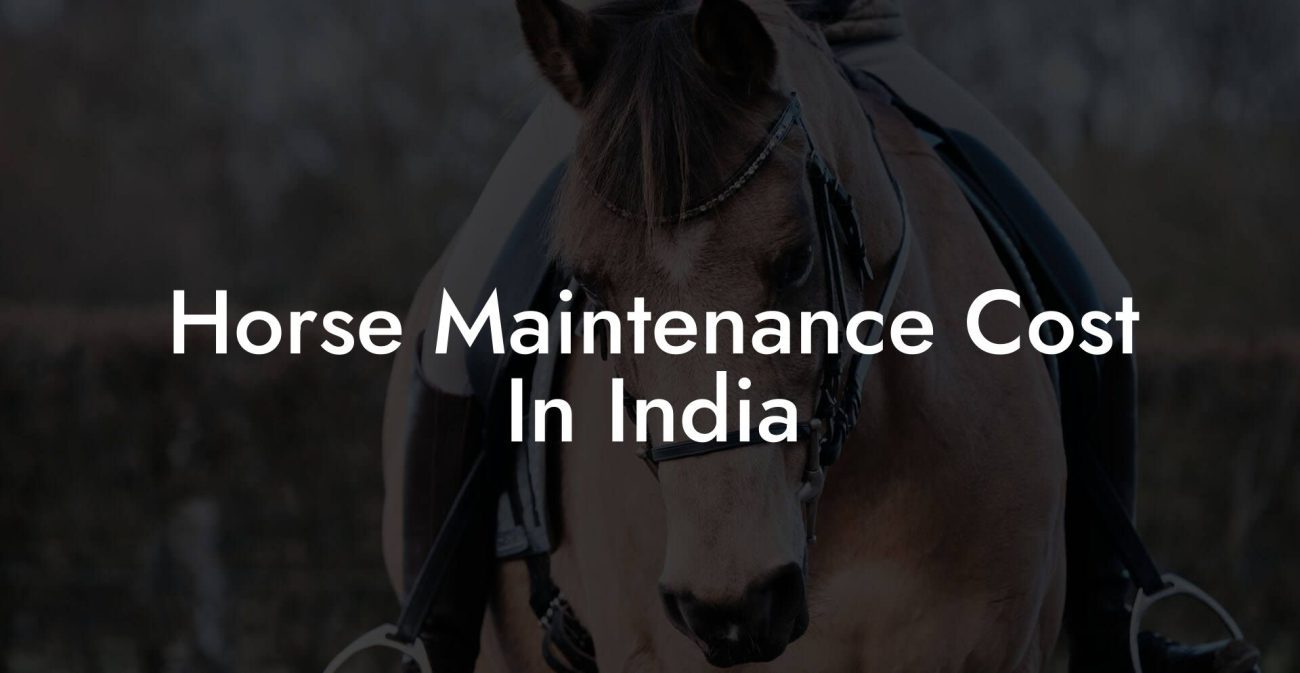 Horse Maintenance Cost In India