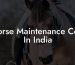 Horse Maintenance Cost In India