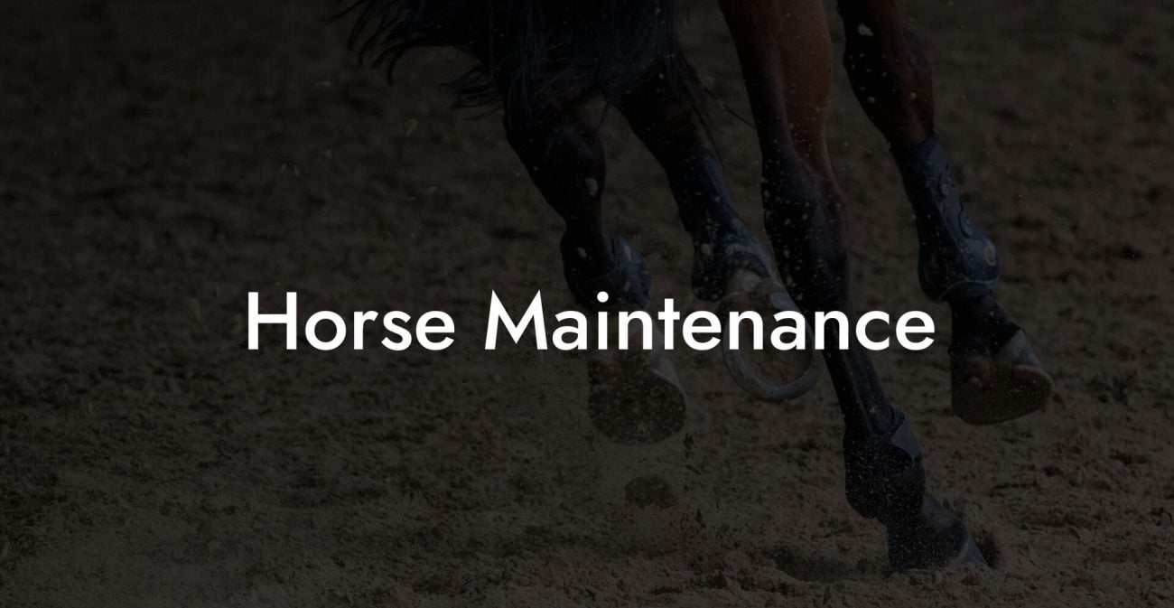 Horse Maintenance