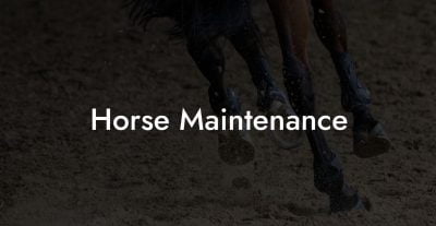 Horse Maintenance Horse Maintenance