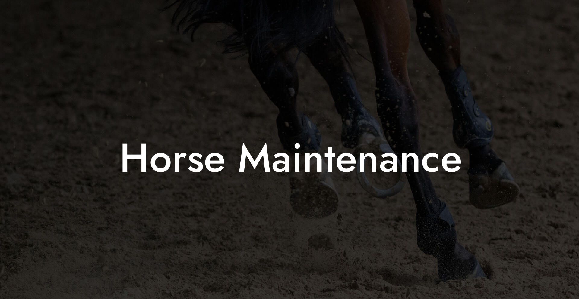 Horse Maintenance