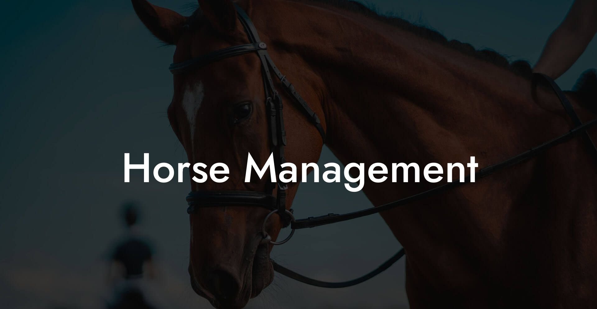 Horse Management