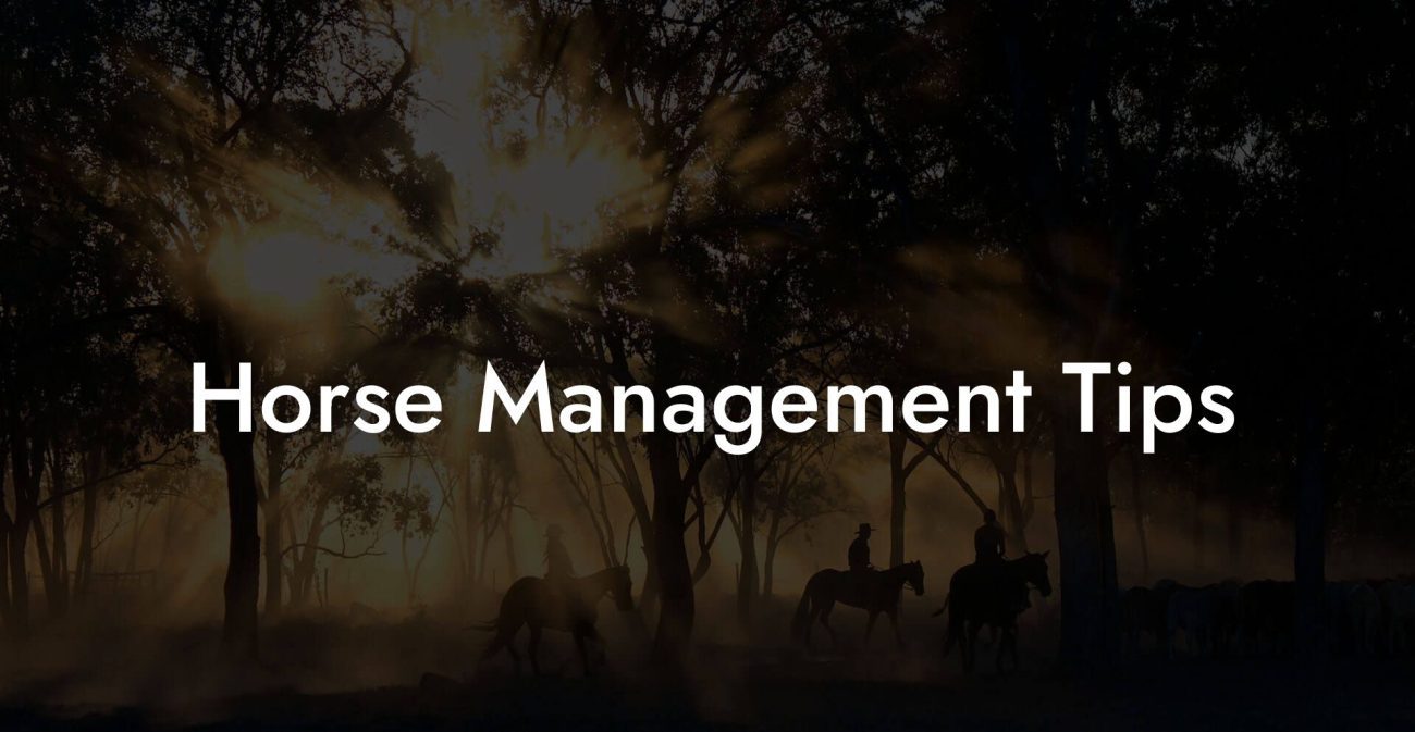 Horse Management Tips