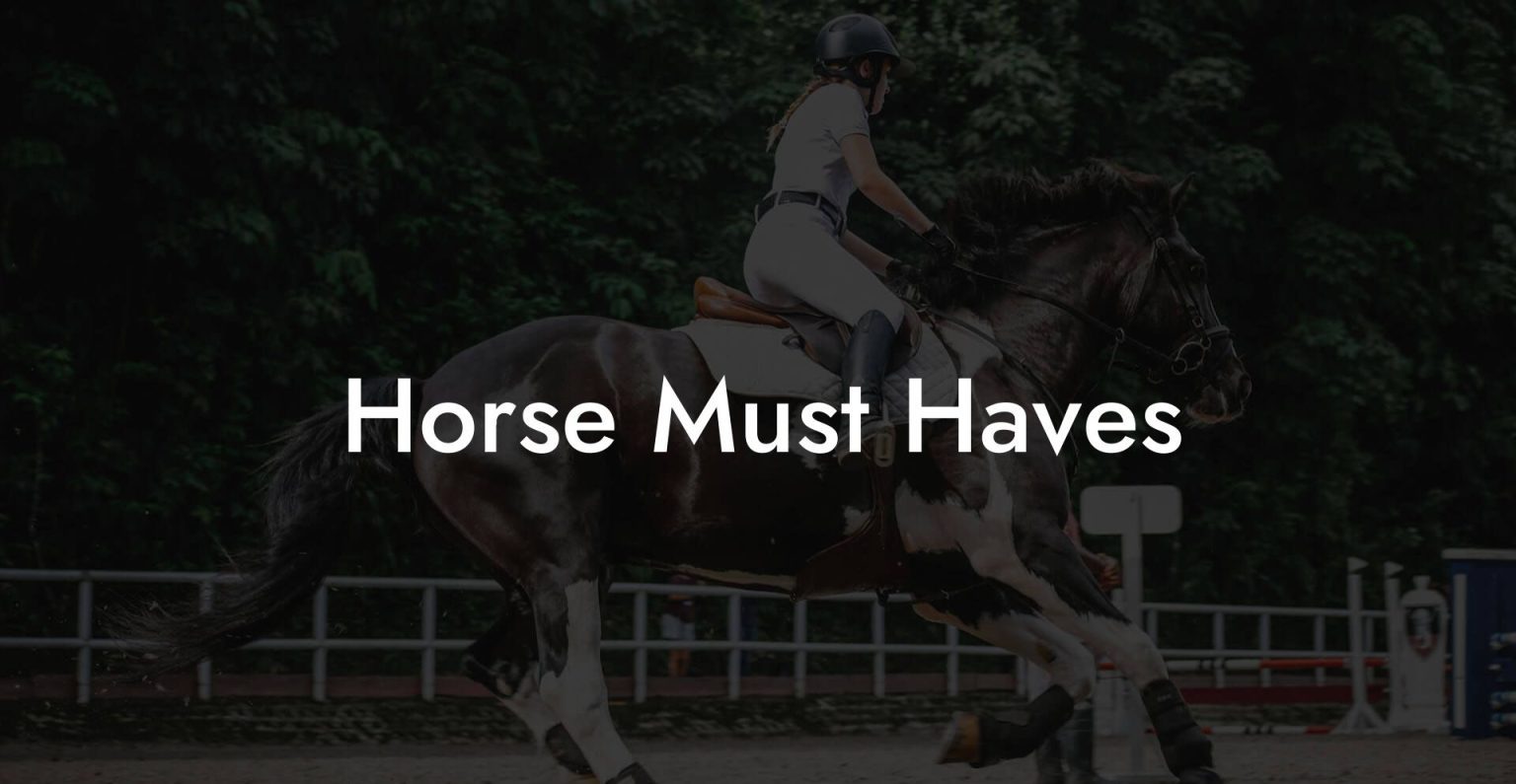 Horse Must Haves How To Own a Horse