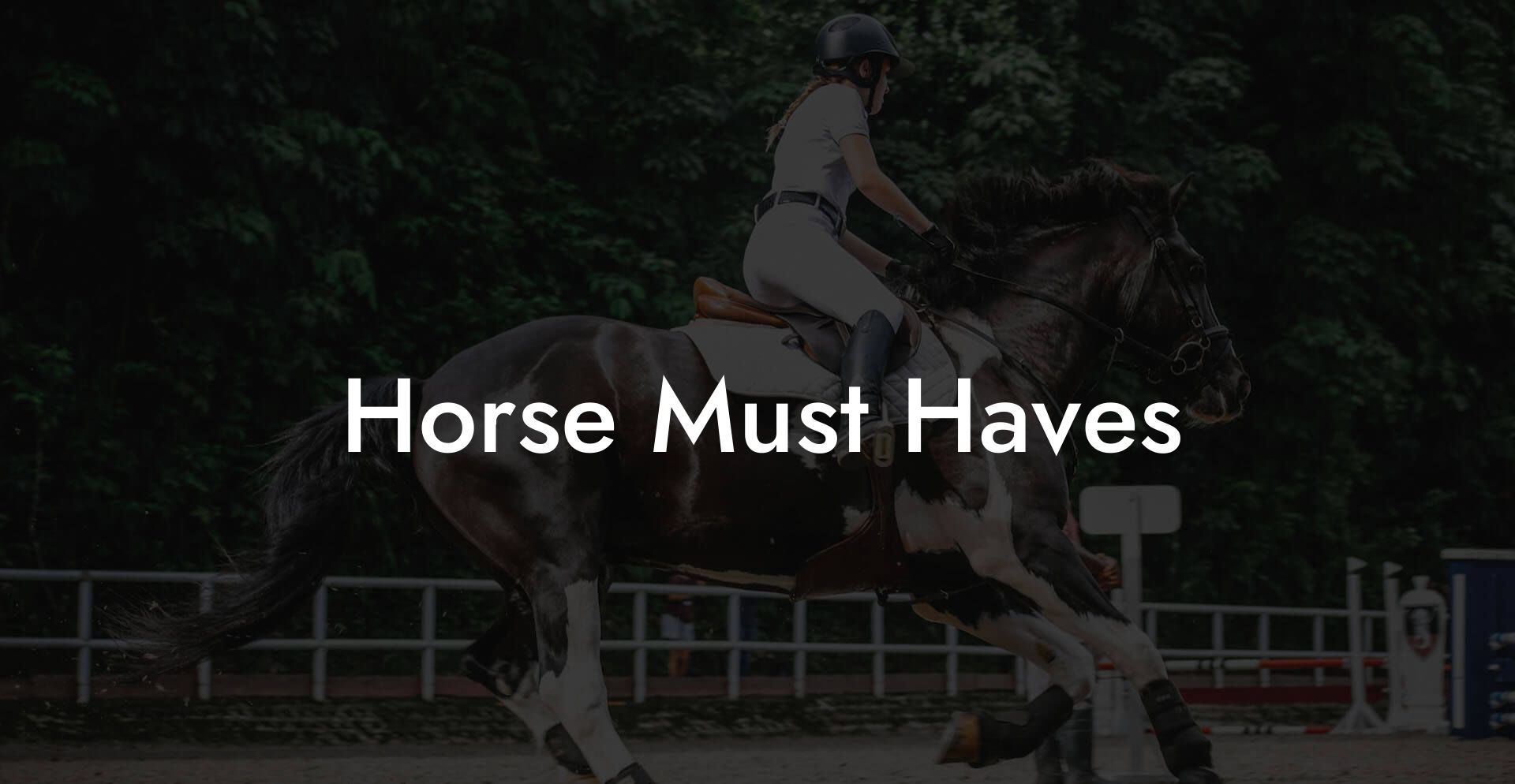 Horse Must Haves