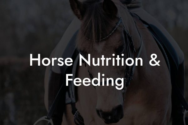 Horse Nutrition & Feeding