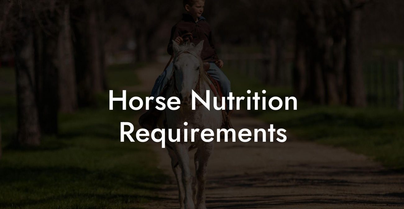 Horse Nutrition Requirements