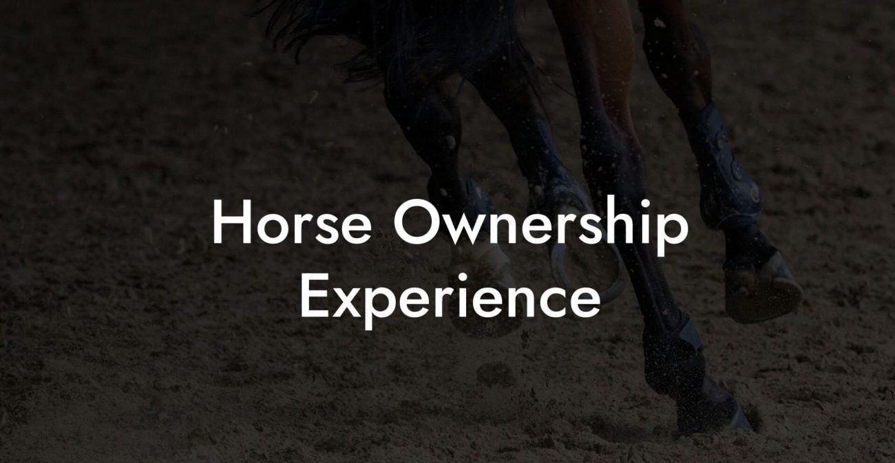 Horse Ownership Experience