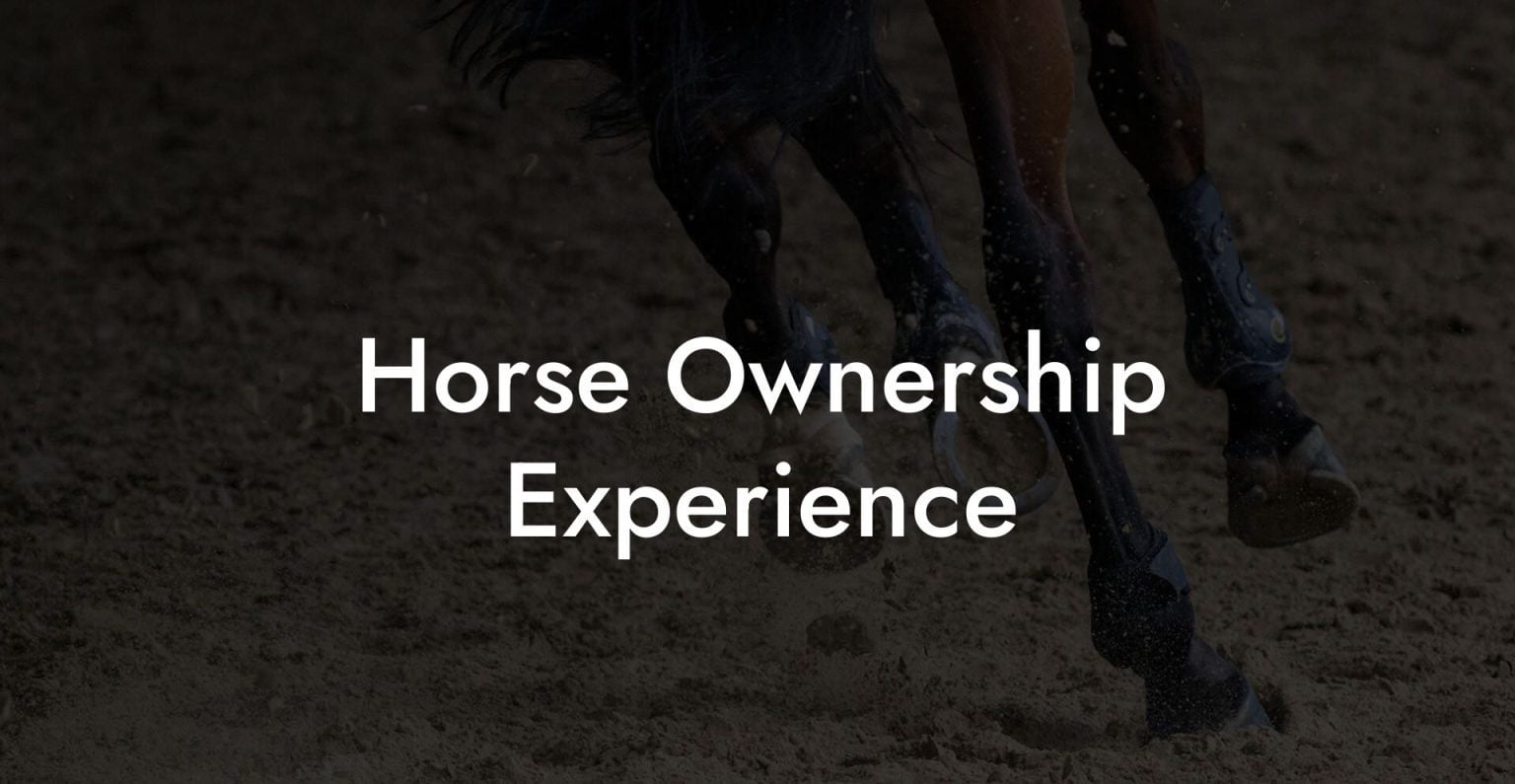 Horse Ownership Experience How To Own a Horse