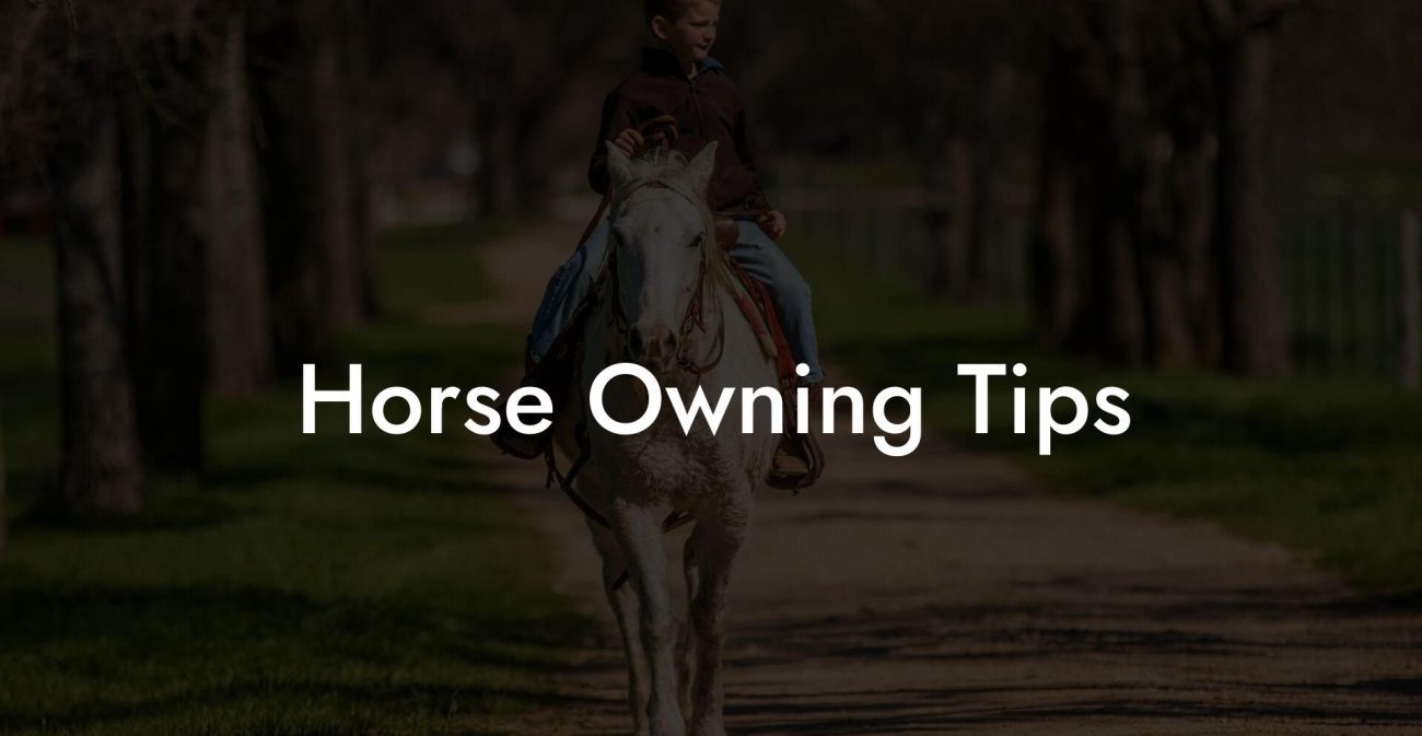 Horse Owning Tips