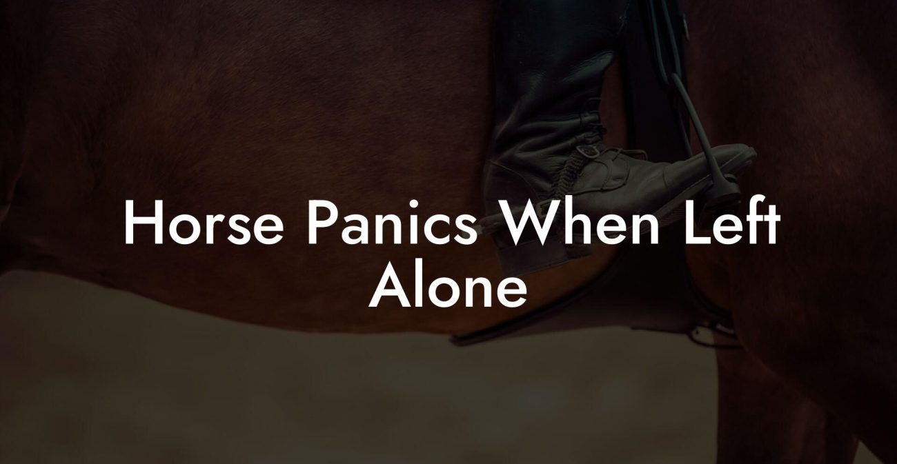 Horse Panics When Left Alone