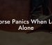 Horse Panics When Left Alone