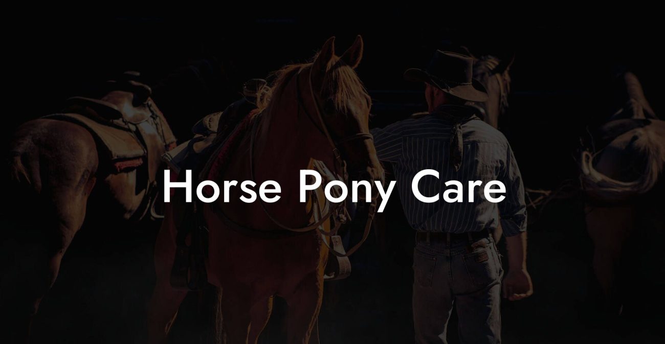 Horse Pony Care