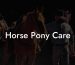 Horse Pony Care