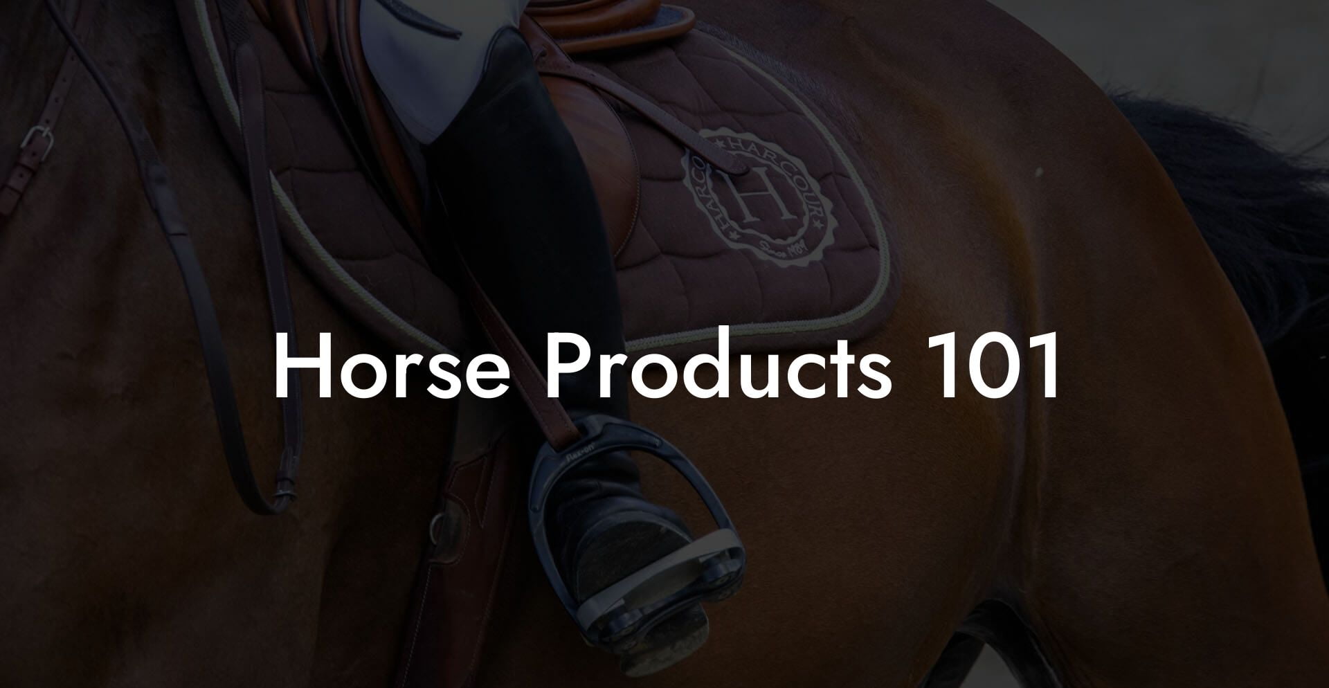 Horse Products 101