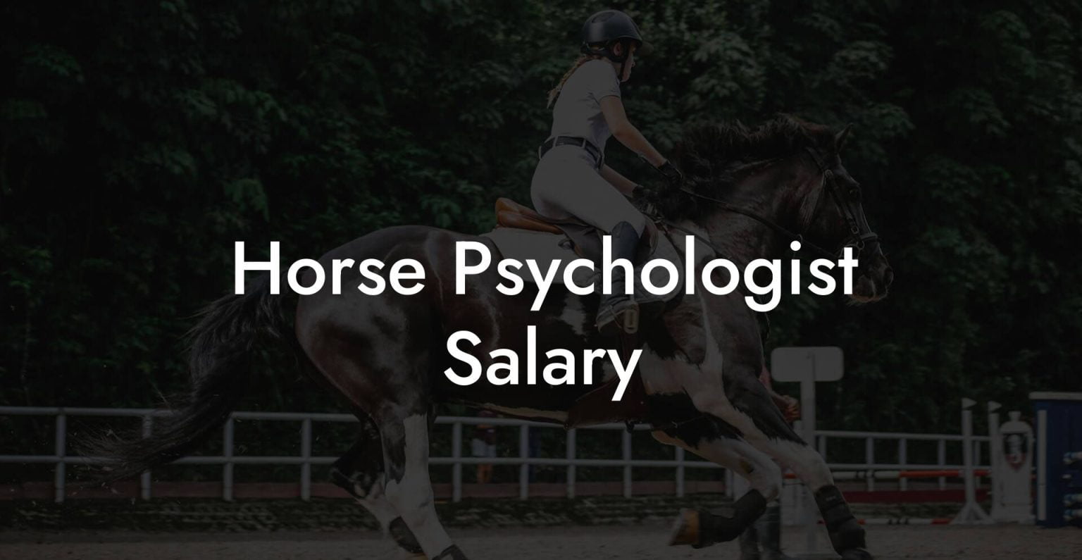 Horse Psychologist Salary How To Own a Horse