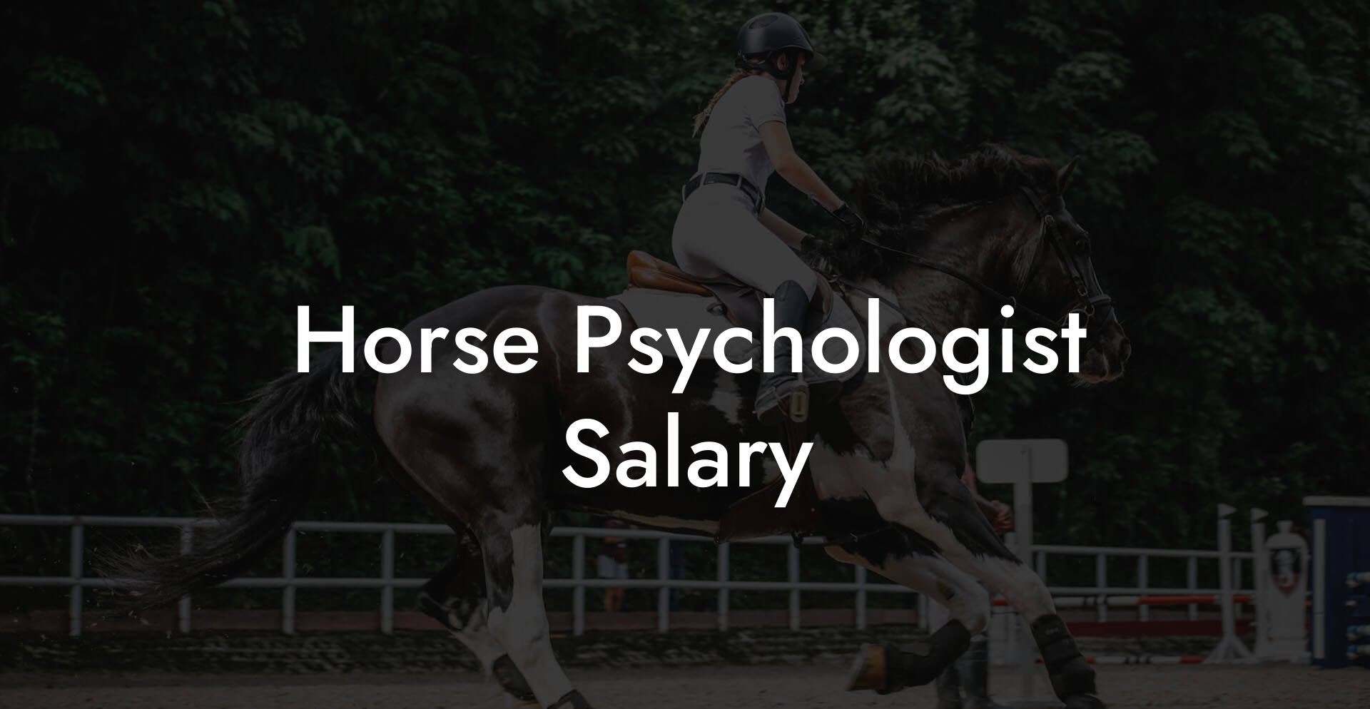 Horse Psychologist Salary