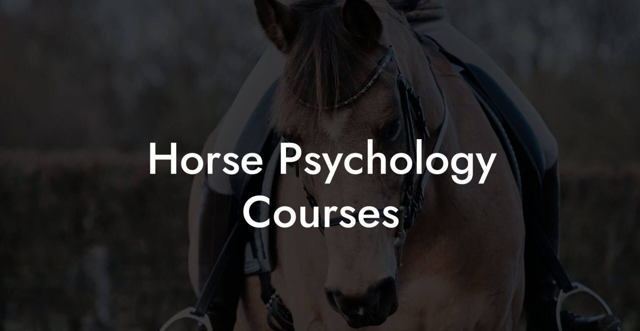 Horse Psychology Courses
