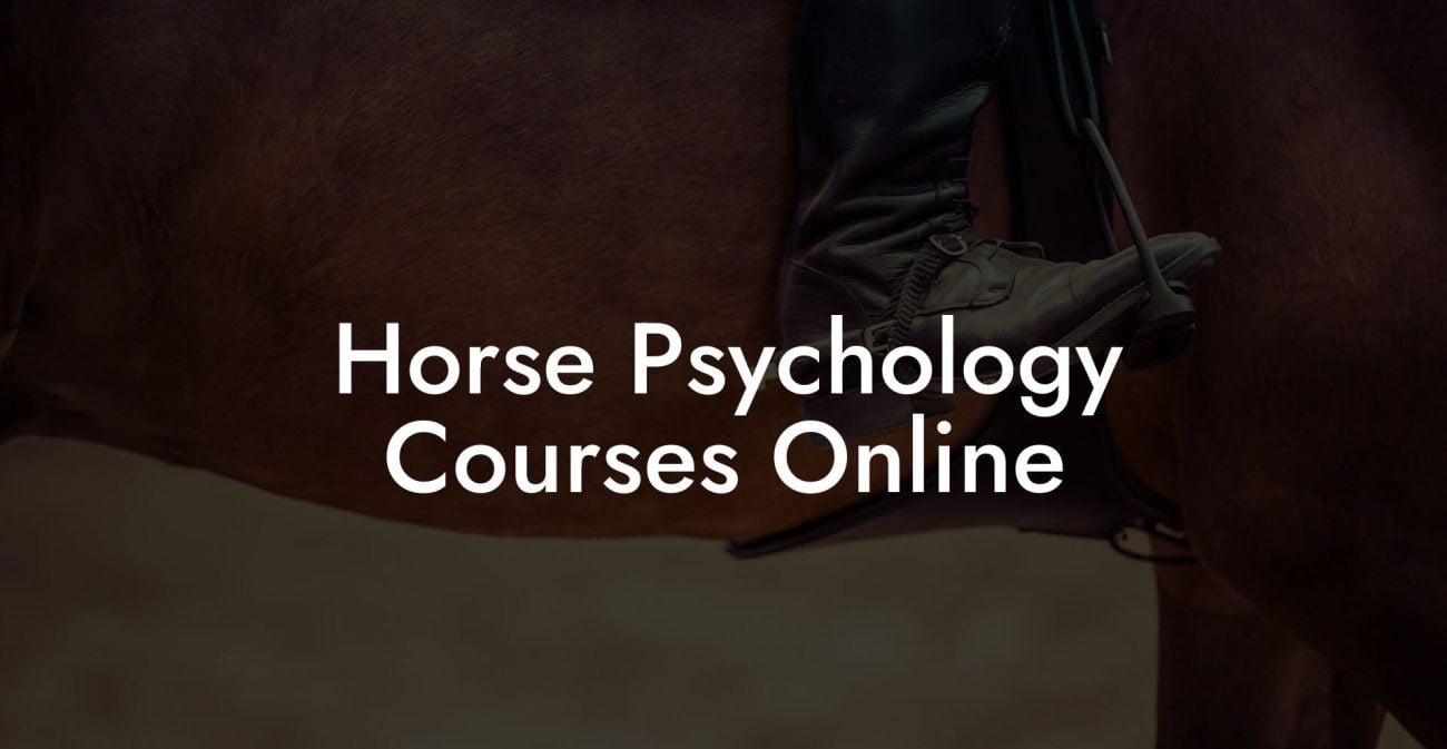Horse Psychology Courses Online
