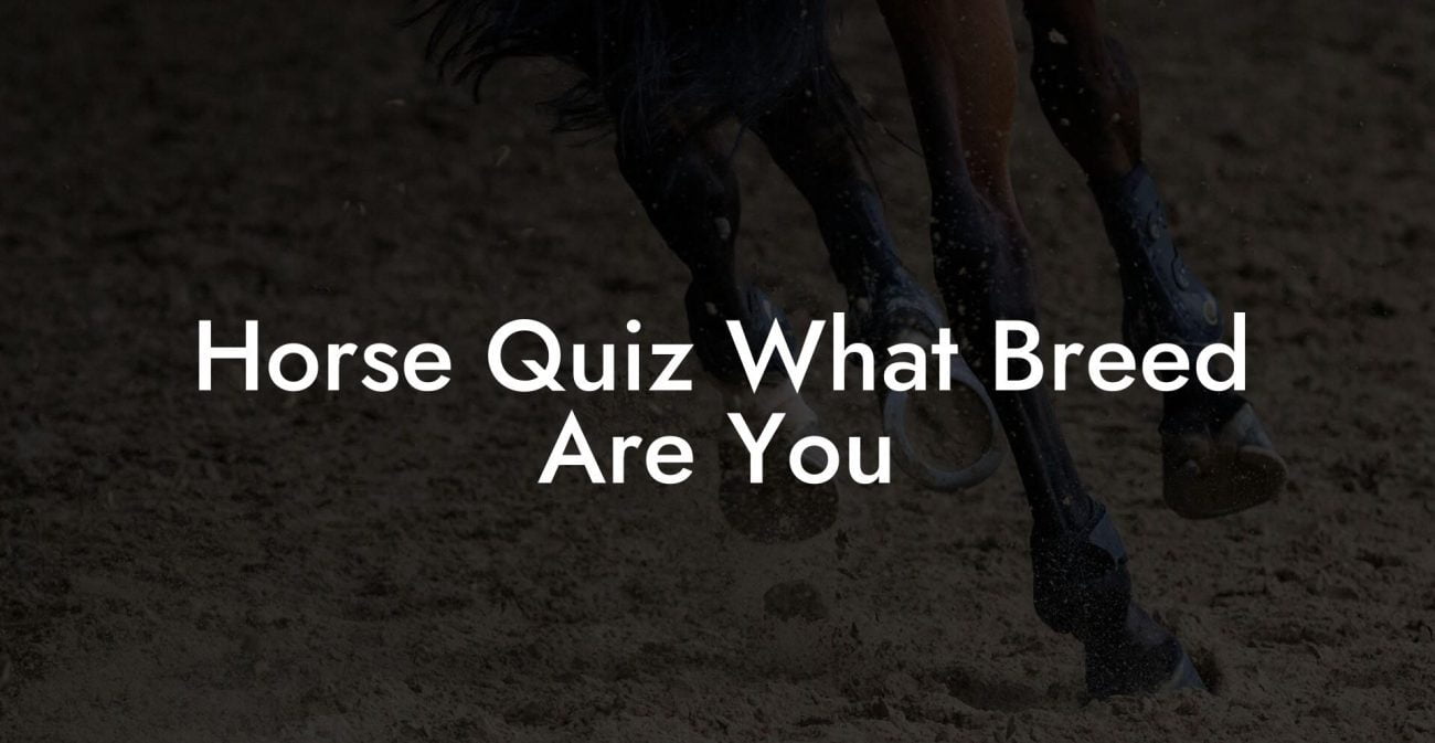 Horse Quiz What Breed Are You