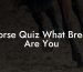 Horse Quiz What Breed Are You